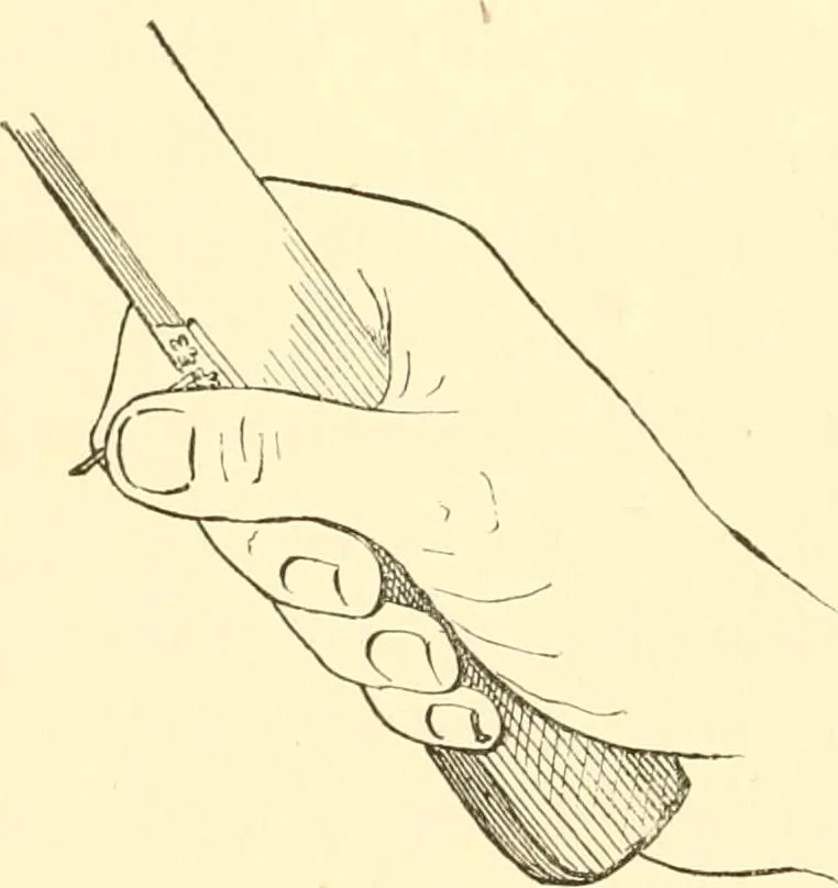 An illustration from Japanese homes and their surroundings, 1885, leaf 119