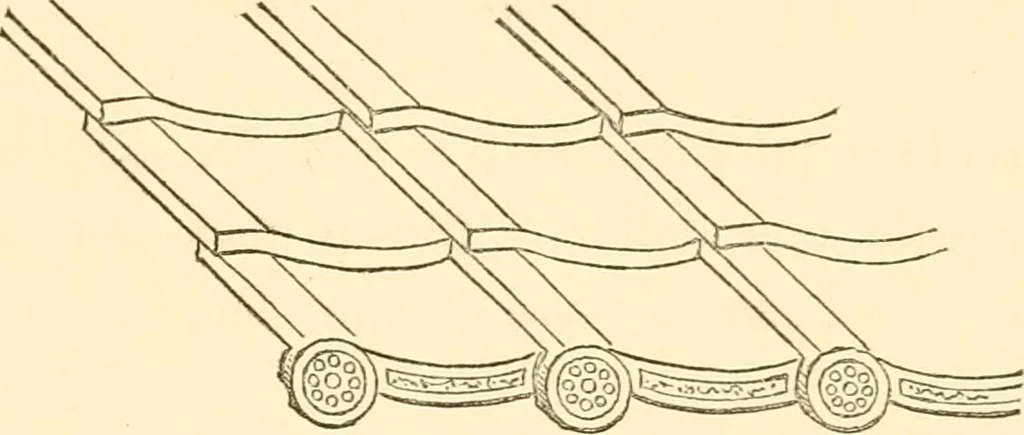 An illustration from Japanese homes and their surroundings, 1885, leaf 126