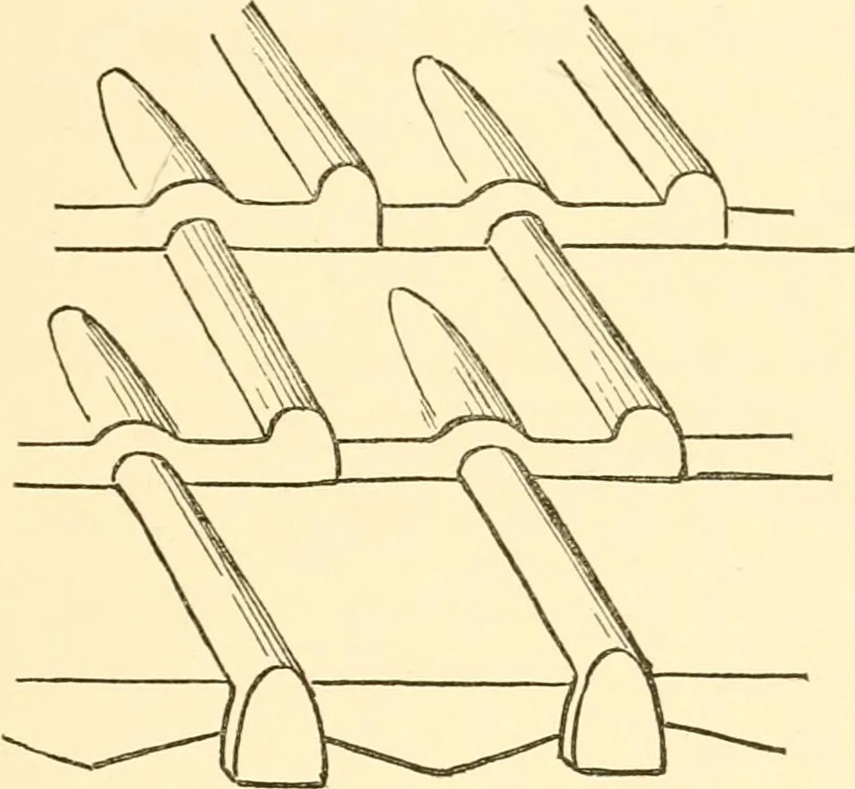 An illustration from Japanese homes and their surroundings, 1885, leaf 128
