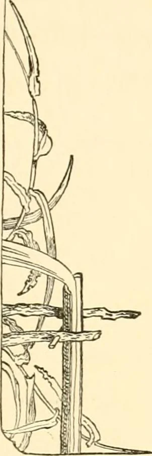 An illustration from Japanese homes and their surroundings, 1885, leaf 212