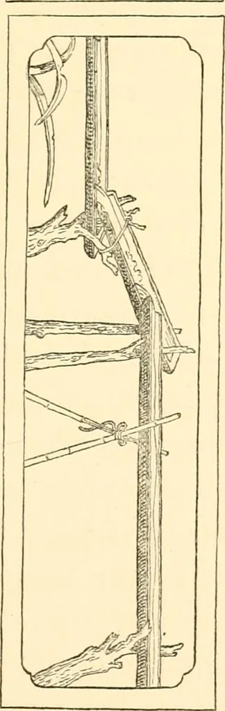 An illustration from Japanese homes and their surroundings, 1885, leaf 212