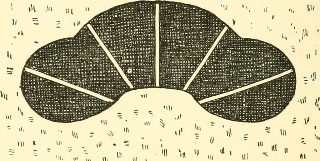 An illustration from Japanese homes and their surroundings, 1885, leaf 215