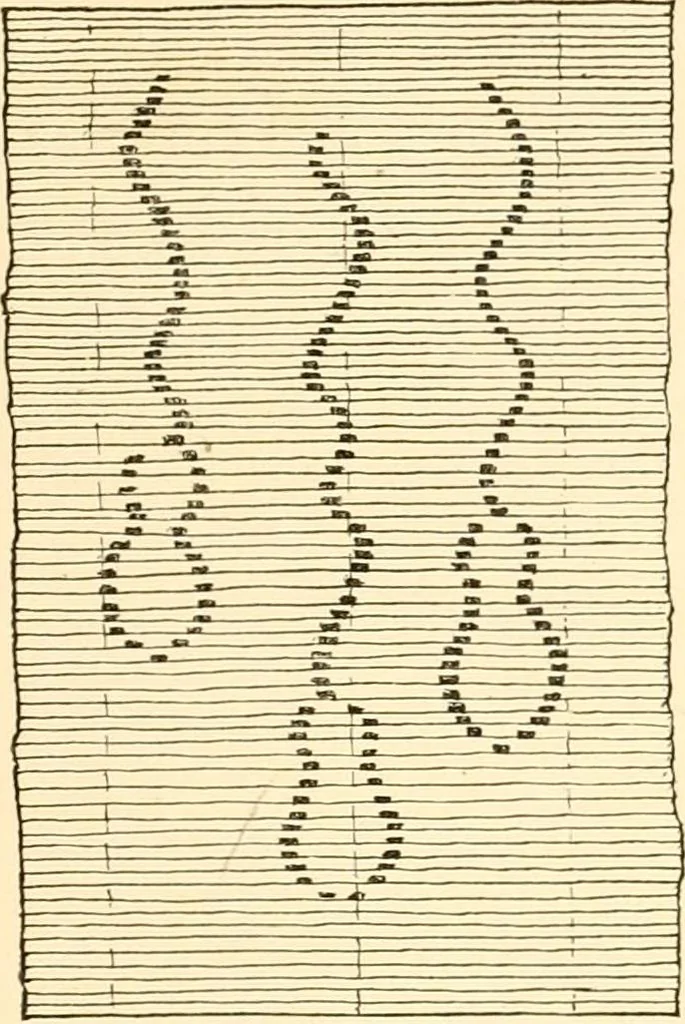 An illustration from Japanese homes and their surroundings, 1885, leaf 222