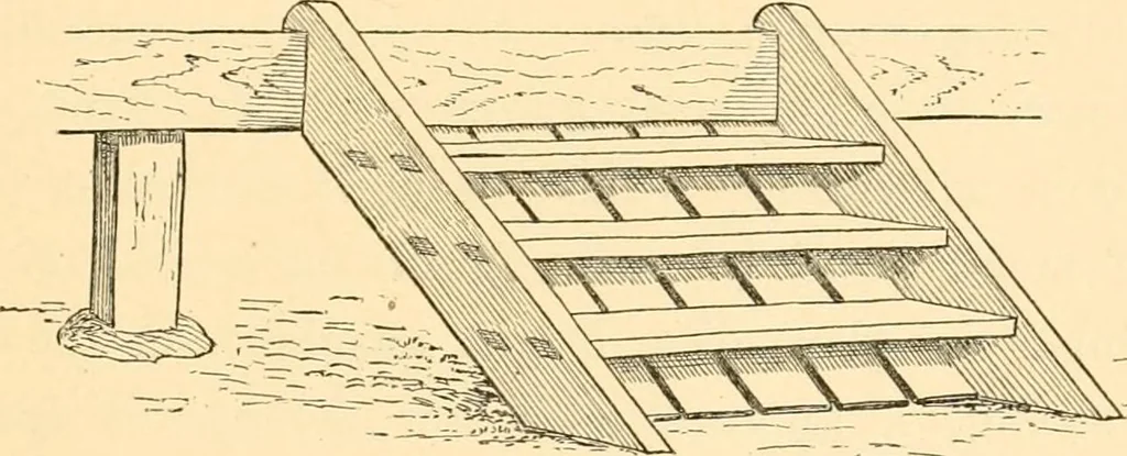 An illustration from Japanese homes and their surroundings, 1885, leaf 238