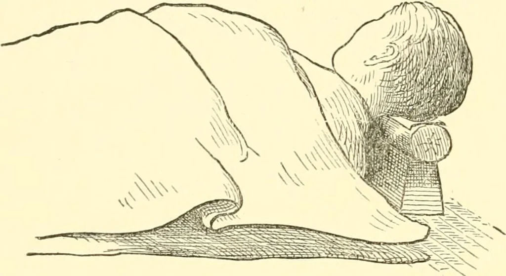 An illustration from Japanese homes and their surroundings, 1885, leaf 251