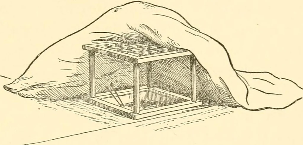 An illustration from Japanese homes and their surroundings, 1885, leaf 252