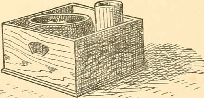 An illustration from Japanese homes and their surroundings, 1885, leaf 256