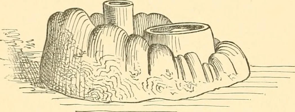 An illustration from Japanese homes and their surroundings, 1885, leaf 257