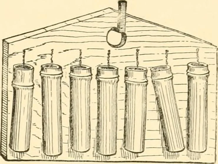 An illustration from Japanese homes and their surroundings, 1885, leaf 298