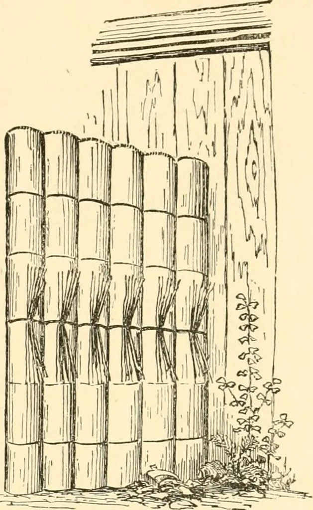 An illustration from Japanese homes and their surroundings, 1885, leaf 310