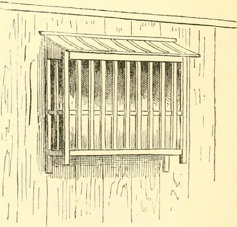 An illustration from Japanese homes and their surroundings, 1885, leaf 311
