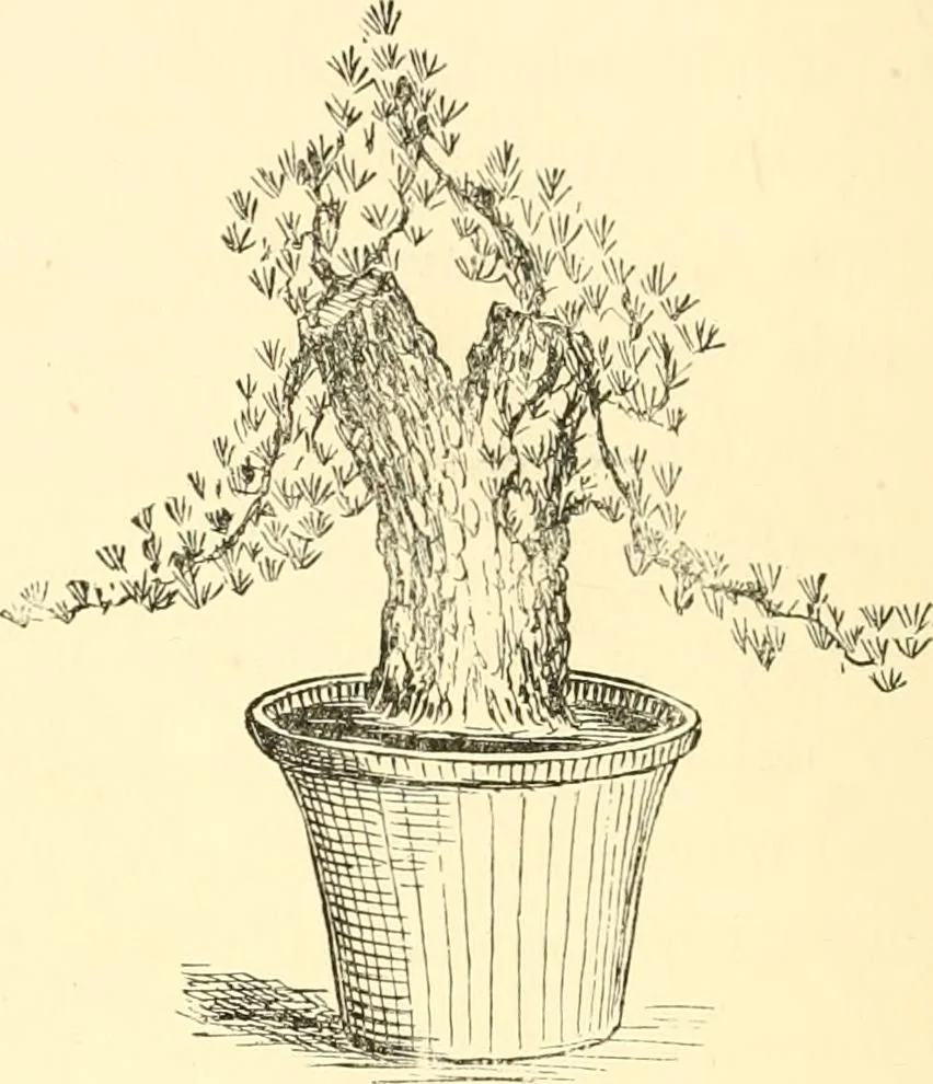 An illustration from Japanese homes and their surroundings, 1885, leaf 327