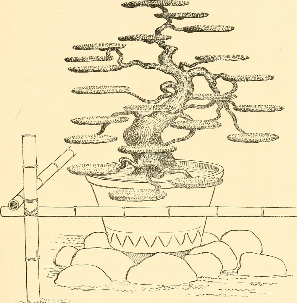 An illustration from Japanese homes and their surroundings, 1885, leaf 328
