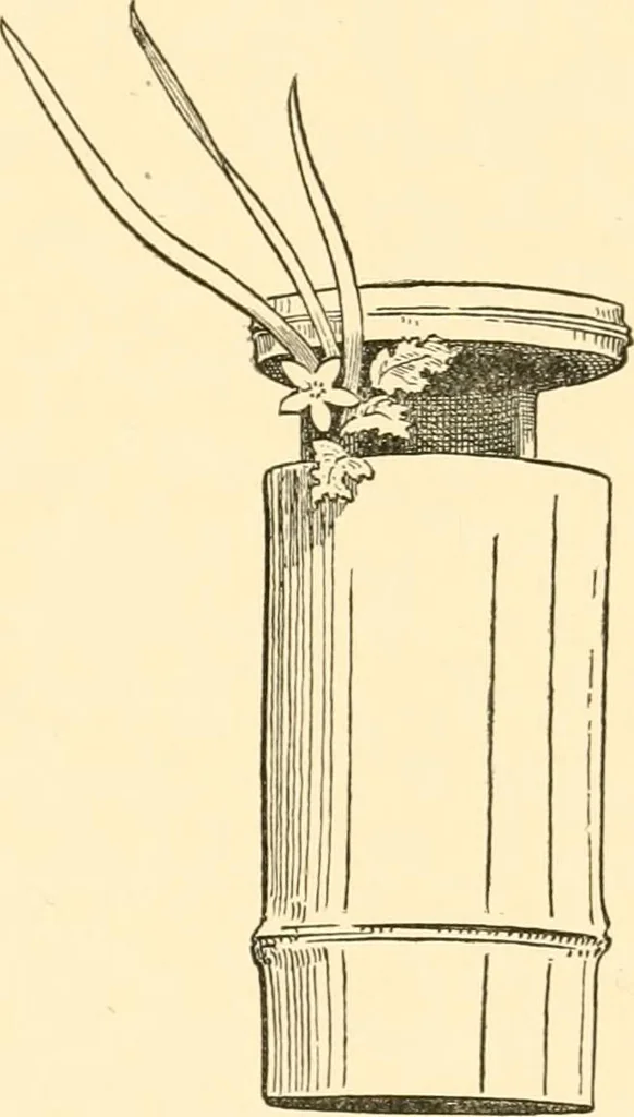 An illustration from Japanese homes and their surroundings, 1885, leaf 344