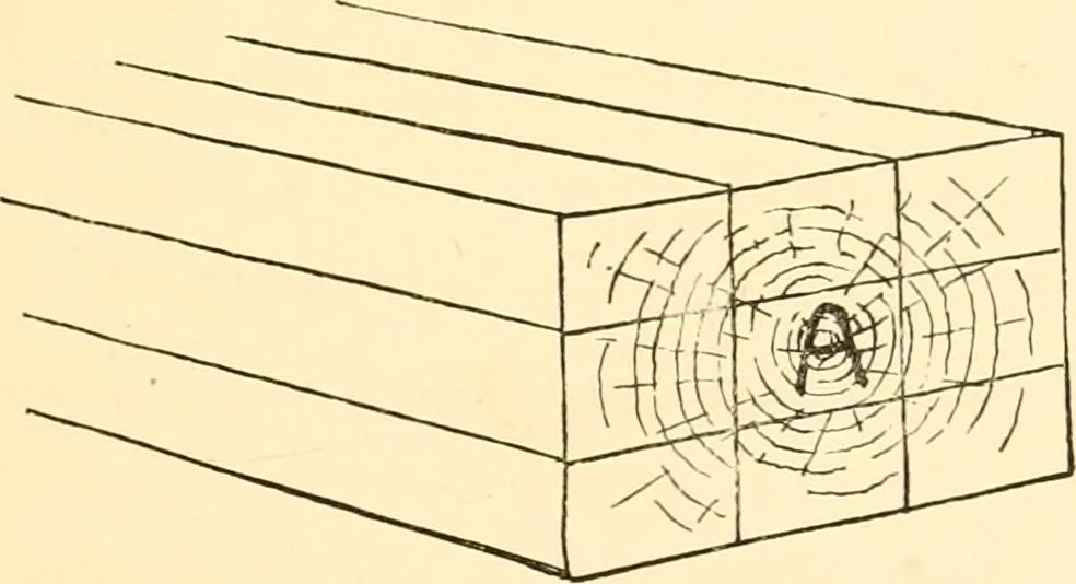 An illustration from Japanese homes and their surroundings, 1885, leaf 64