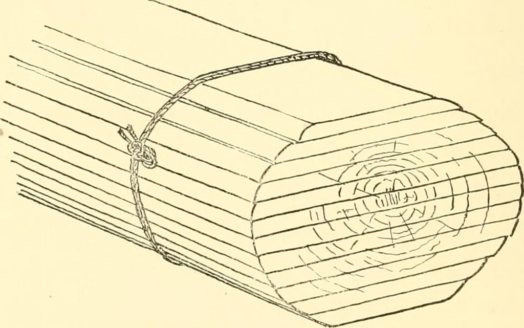 An illustration from Japanese homes and their surroundings, 1885, leaf 65