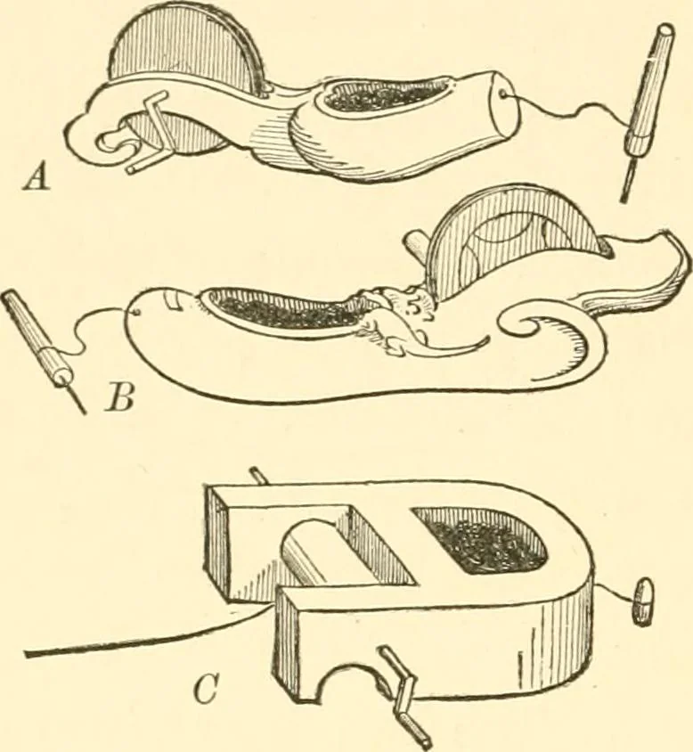 An illustration from Japanese homes and their surroundings, 1885, leaf 81