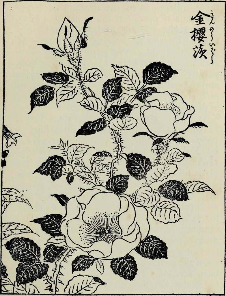 An illustration from Japanese illustrations; a history of the arts of wood-cutting and colour printing in Japan, 1904, leaf 222