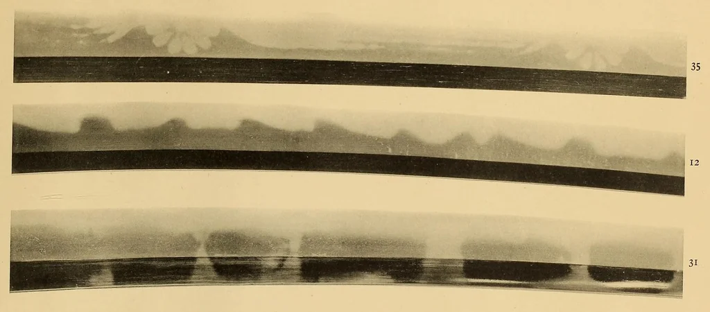 An illustration from Japanese swords, 1913, leaf 21