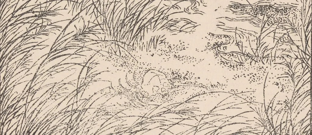 An illustration from Japanese wood engravings : their history, technique and characteristics, 1895, leaf 58
