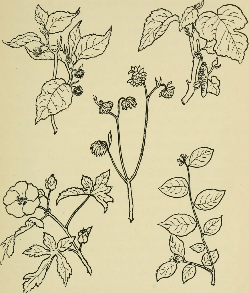 An illustration from Japan in art and industry. : With a glance at Japanese manners and customs, 1893, leaf 174