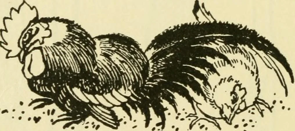 An illustration from Japan in art and industry. : With a glance at Japanese manners and customs, 1893, leaf 229