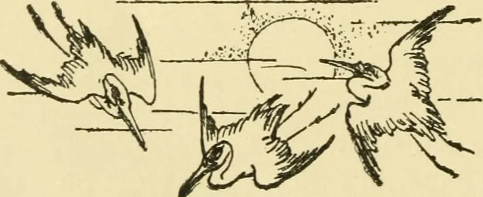 An illustration from Japan in art and industry. : With a glance at Japanese manners and customs, 1893, leaf 333