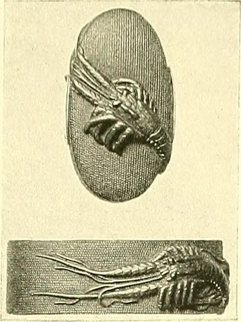 An illustration from Japanische Stichblätter und Schwertzieraten : Sammlung Georg Oeder, Düsseldorf : [Katalog], 1916, leaf 136