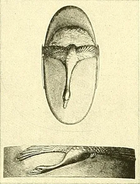 An illustration from Japanische Stichblätter und Schwertzieraten : Sammlung Georg Oeder, Düsseldorf : [Katalog], 1916, leaf 147