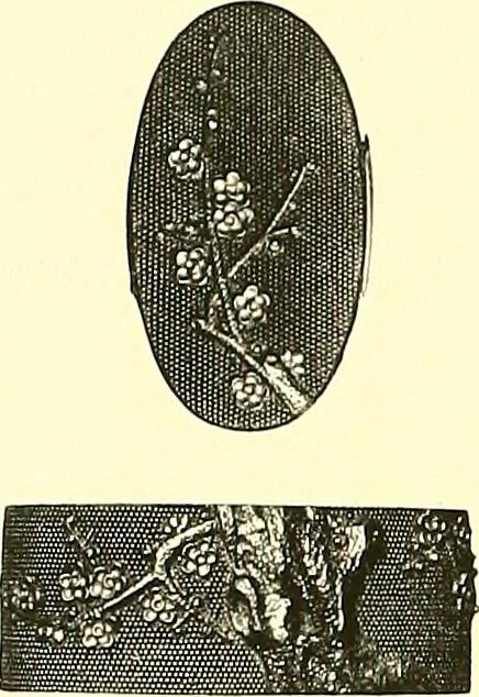 An illustration from Japanische Stichblätter und Schwertzieraten : Sammlung Georg Oeder, Düsseldorf : [Katalog], 1916, leaf 161