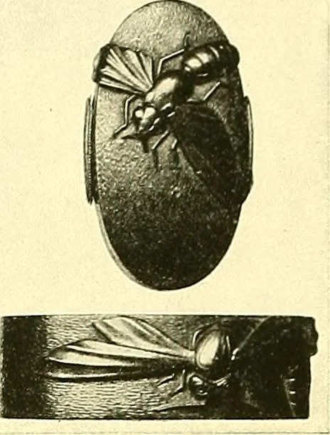 An illustration from Japanische Stichblätter und Schwertzieraten : Sammlung Georg Oeder, Düsseldorf : [Katalog], 1916, leaf 191