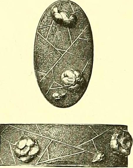 An illustration from Japanische Stichblätter und Schwertzieraten : Sammlung Georg Oeder, Düsseldorf : [Katalog], 1916, leaf 205
