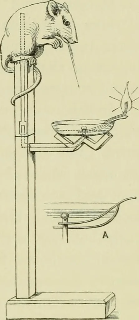 An illustration from Japan : its architecture, art, and art manufactures, 1882, leaf 116