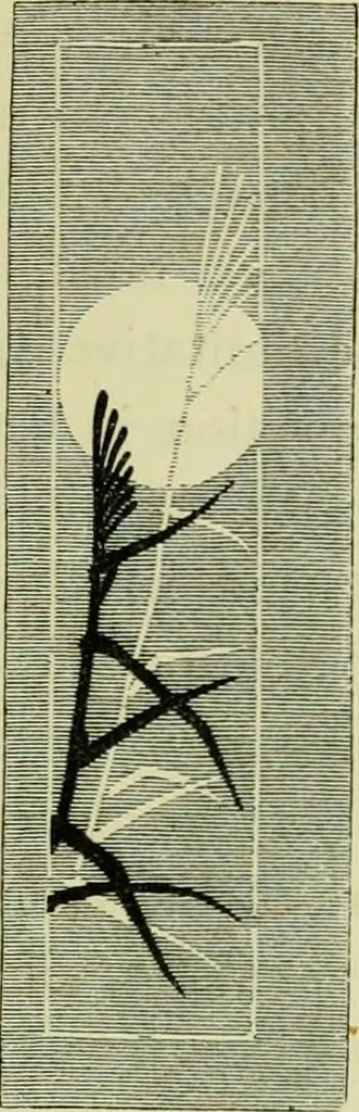 An illustration from Japan : its architecture, art, and art manufactures, 1882, leaf 296