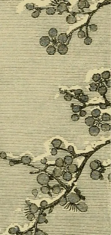 An illustration from Japan : its architecture, art, and art manufactures, 1882, leaf 297