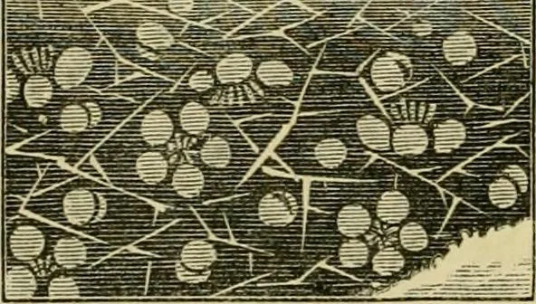 An illustration from Japan : its architecture, art, and art manufactures, 1882, leaf 297