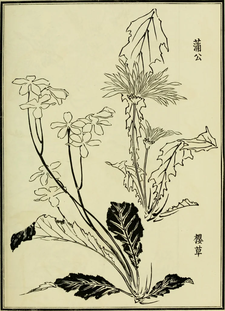 An illustration from Japan : its architecture, art, and art manufactures, 1882, leaf 316