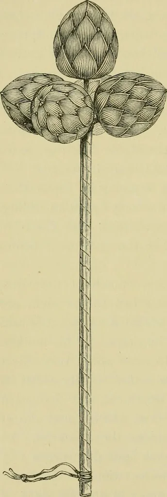 An illustration from Japan : its architecture, art, and art manufactures, 1882, leaf 357