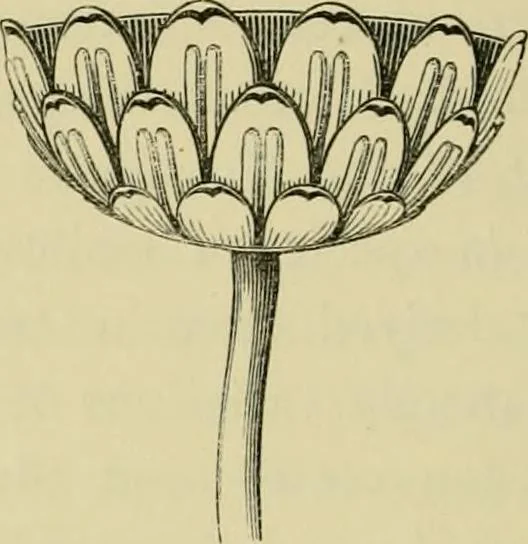An illustration from Japan : its architecture, art, and art manufactures, 1882, leaf 357