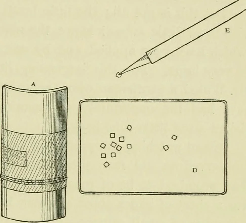 An illustration from Japan : its architecture, art, and art manufactures, 1882, leaf 378