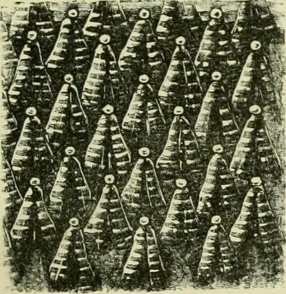 An illustration from Japan : its architecture, art, and art manufactures, 1882, leaf 466
