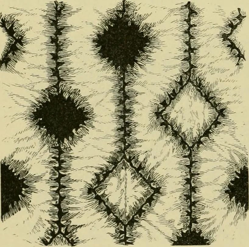 An illustration from Japan : its architecture, art, and art manufactures, 1882, leaf 467