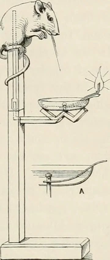 An illustration from Japan: its architecture, art, and art manufactures, 1882, leaf 114