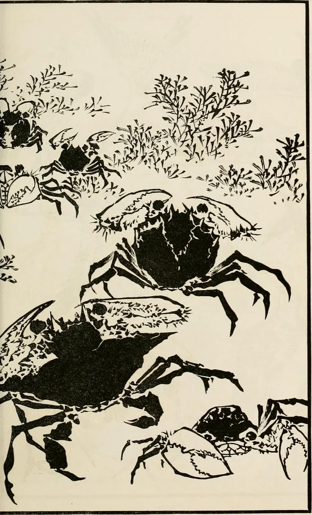 An illustration from Japan: its architecture, art, and art manufactures, 1882, leaf 312