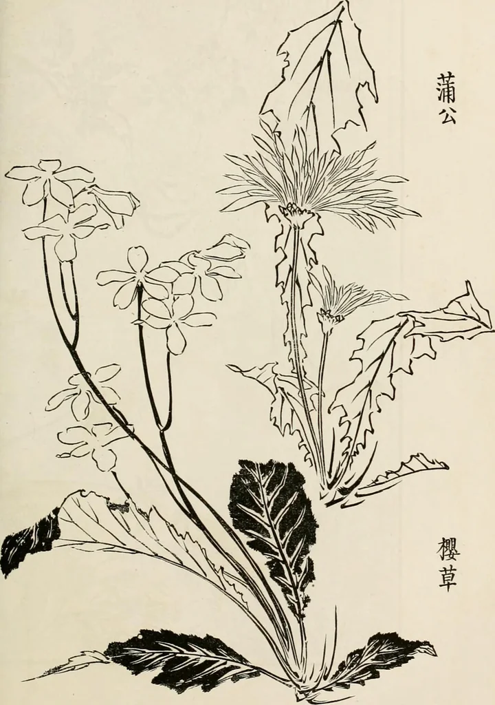 An illustration from Japan: its architecture, art, and art manufactures, 1882, leaf 314