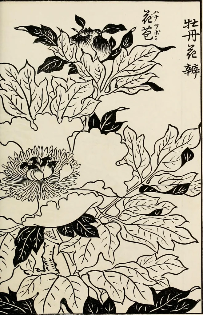 An illustration from Japan: its architecture, art, and art manufactures, 1882, leaf 326