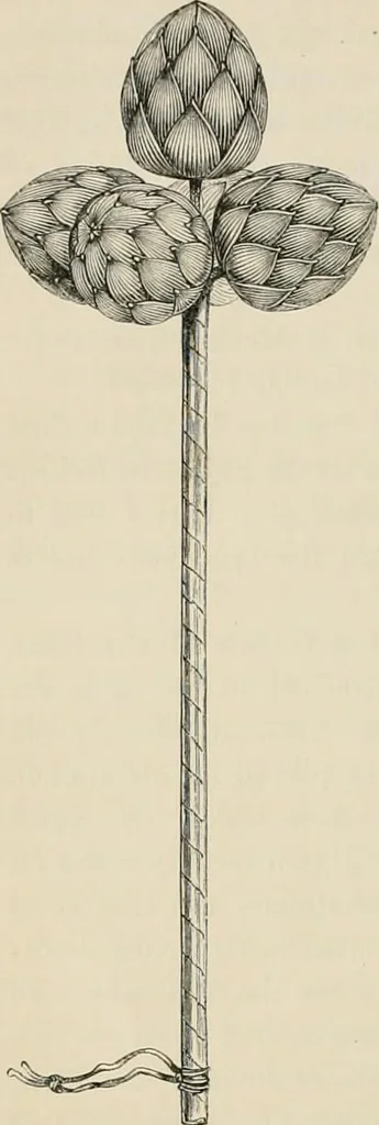 An illustration from Japan: its architecture, art, and art manufactures, 1882, leaf 355