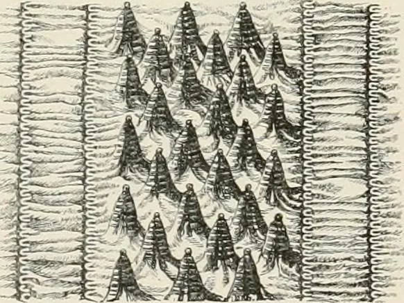 An illustration from Japan: its architecture, art, and art manufactures, 1882, leaf 464