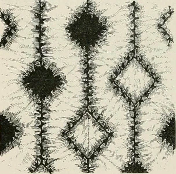 An illustration from Japan: its architecture, art, and art manufactures, 1882, leaf 465