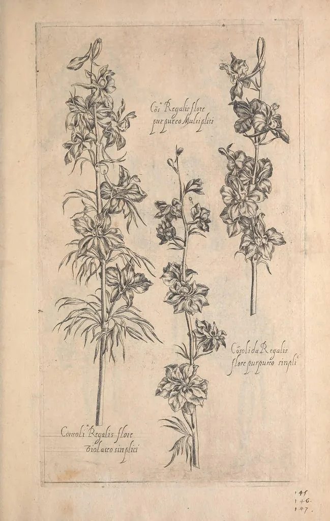 An illustration from Le jardin du Roy tres chrestien, Loys XIII, Roy de France et de Navare ..., 1623, leaf 131